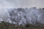 Europa arde: altas temperaturas intensifican los incendios forestales en Francia y Espa&ntilde;a