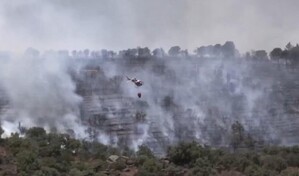 Europa arde: altas temperaturas intensifican los incendios forestales en Francia y Espa&ntilde;a