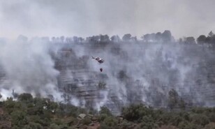 Europa arde: altas temperaturas intensifican los incendios forestales en Francia y Espa&ntilde;a