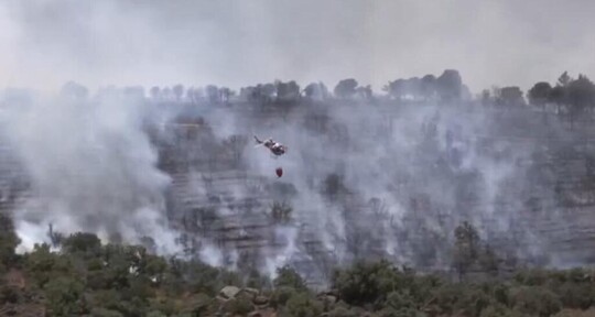 Europa arde: altas temperaturas intensifican los incendios forestales en Francia y Espa&ntilde;a