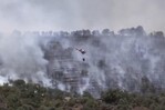Incendio arrasa más de 1,300 hectáreas del emblemático bosque de Fontainebleau, cerca de París Incendio arrasa más de 1,300 hectáreas del emblemático bosque de Fontainebleau, cerca de París