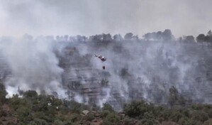 Incendio arrasa más de 1,300 hectáreas del emblemático bosque de Fontainebleau, cerca de París