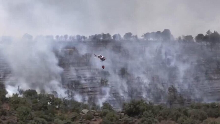 Incendio arrasa m&aacute;s de 1,300 hect&aacute;reas del emblem&aacute;tico bosque de Fontainebleau, cerca de Par&iacute;s
