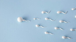 Los factores ambientales son determinantes en la calidad del semen