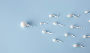 Los factores ambientales son determinantes en la calidad del semen