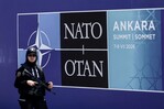 &iquest;Una OTAN europea? C&oacute;mo Trump est&aacute; remodelando la Alianza Atl&aacute;ntica?