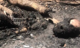 Hallan restos humanos carbonizados en municipio de Dajab&oacute;n