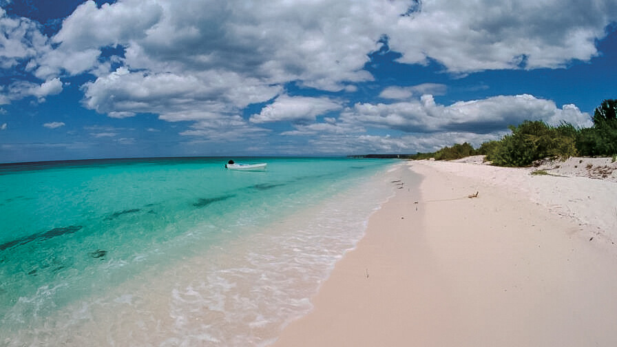 Advierten que el sargazo a&ntilde;ade presi&oacute;n a la arena de playas de RD