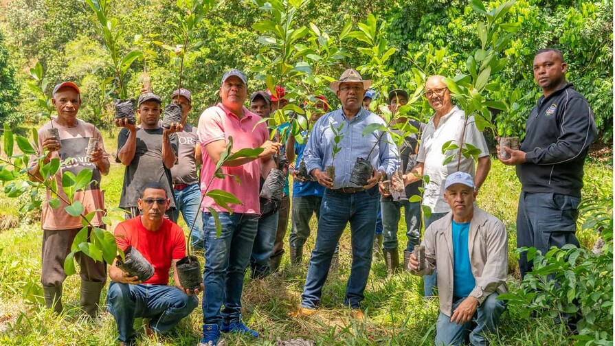 Cacao Green realiza jornada de reforestación Cacao Green realiza jornada de reforestación