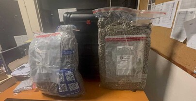 Dejan abandonada en el AILA una maleta cargada con casi 29 libras de marihuana