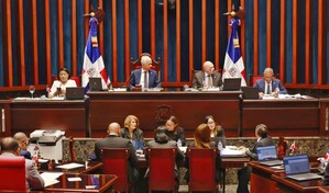 Senado aprueba en primera lectura  y con modificaciones el proyecto de ley de reforma policial