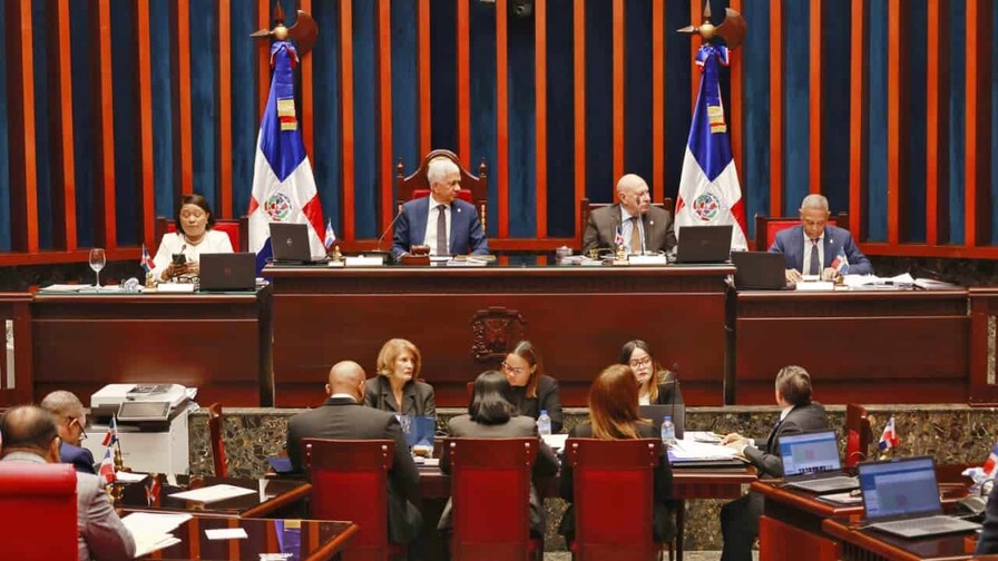 Senado aprueba en primera lectura y con modificaciones el proyecto de ley de reforma policial Senado aprueba en primera lectura y con modificaciones el proyecto de ley de reforma policial
