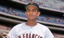 Los Hermanos Rojas Alou tienen m&aacute;s historias que la Ciudad Desnuda