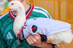 Gobierno de México otorga vivienda social a la familia del pato Merlín Gobierno de México otorga vivienda social a la familia del pato Merlín