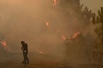Al menos 12 muertos en incendio forestal en el sur de España