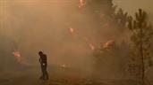 Al menos 12 muertos en incendio forestal en el sur de Espa&ntilde;a