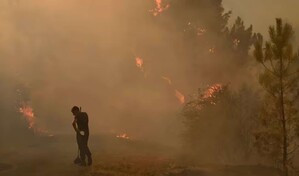 Al menos 12 muertos en incendio forestal en el sur de Espa&ntilde;a