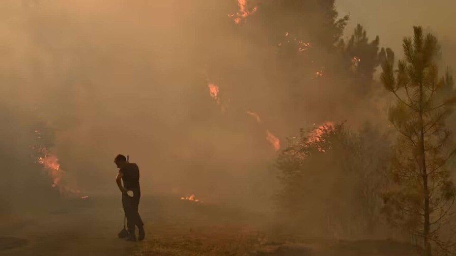 Al menos 12 muertos en incendio forestal en el sur de España Al menos 12 muertos en incendio forestal en el sur de España