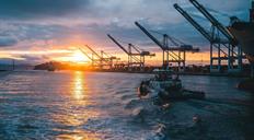 AIE: la oferta global de petr&oacute;leo superar&aacute; la demanda a fin de a&ntilde;o si no vuelve la guerra