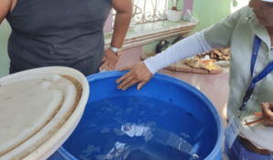 Los casos de dengue ya superan a los de 2025 en el mismo periodo