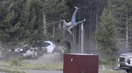 Turista resulta gravemente herido tras ser embestido por un bisonte en Yellowstone