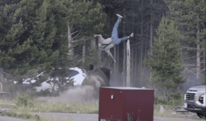 Turista resulta gravemente herido tras ser embestido por un bisonte en Yellowstone