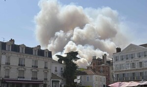 Un incendio, probablemente provocado, arrasa parte del emblem&aacute;tico bosque de Fontainebleau
