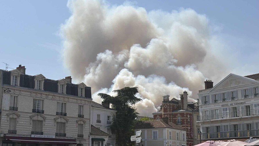 Un incendio, probablemente provocado, arrasa parte del emblem&aacute;tico bosque de Fontainebleau