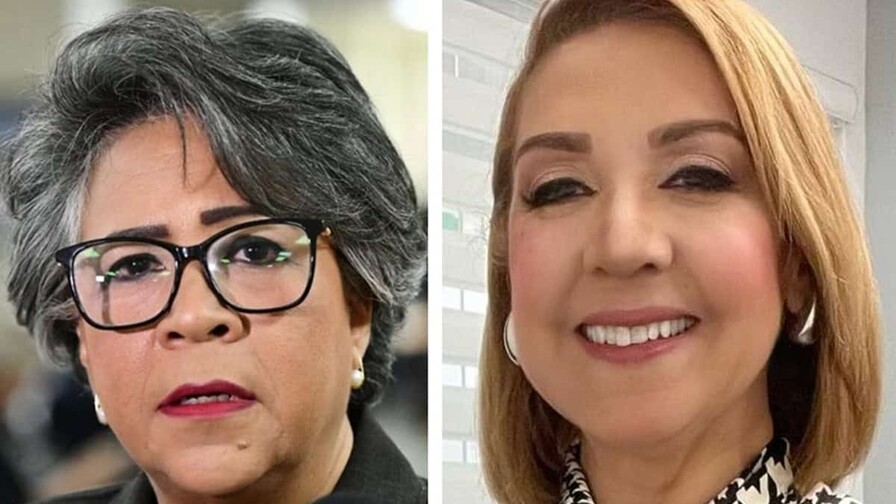 Juristas depositan propuesta de reforma al C&oacute;digo Penal para que incluya la violencia vicaria