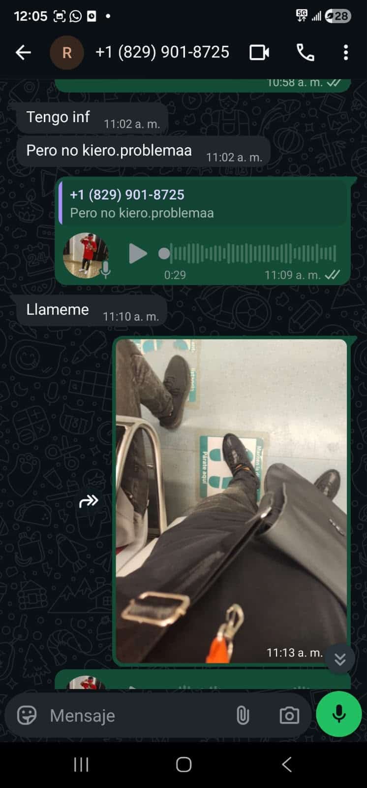 Captura de la conversación con el estafador.