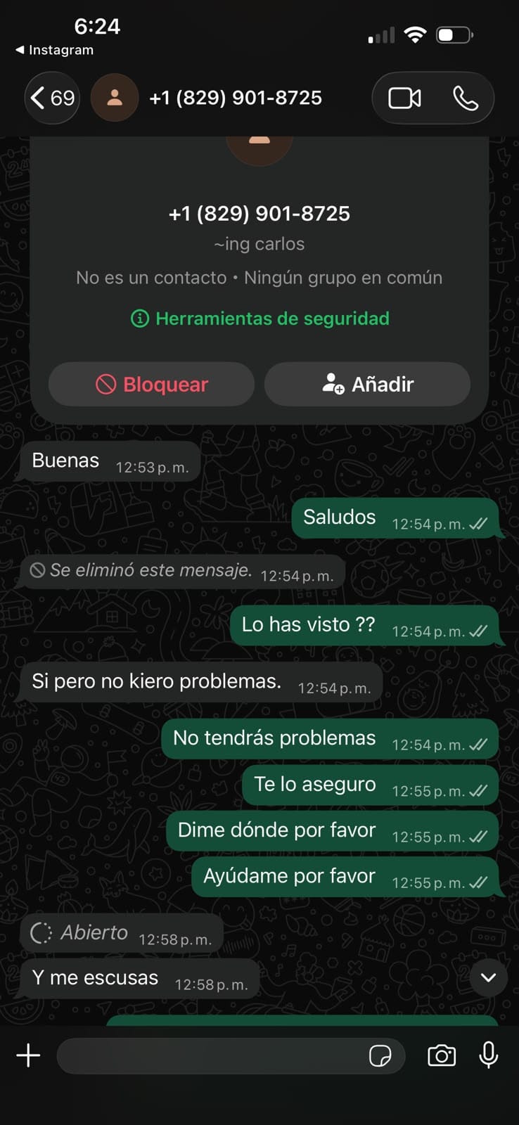 Captura de la conversación con el estafador.