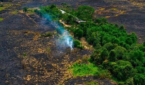 El Ni&ntilde;o plantea un riesgo menos visible pero devastador en Amazon&iacute;a peruana, seg&uacute;n estudio