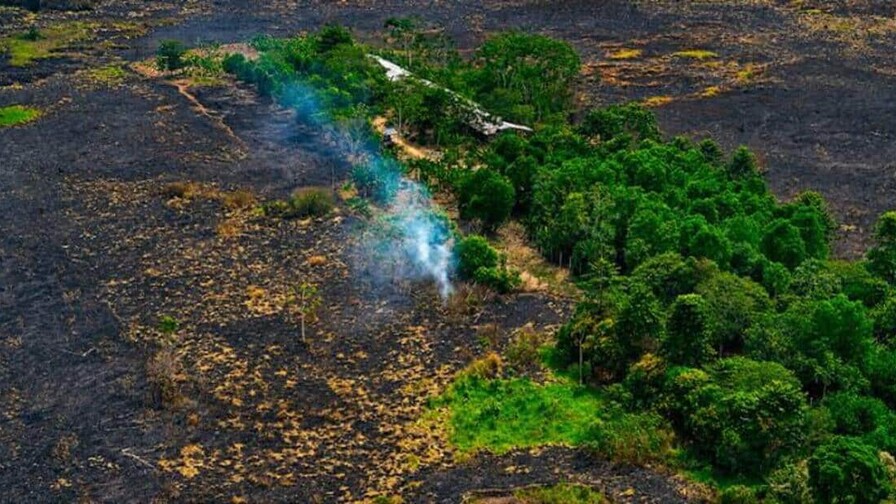 El Ni&ntilde;o plantea un riesgo menos visible pero devastador en Amazon&iacute;a peruana, seg&uacute;n estudio
