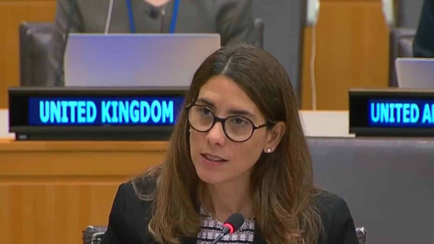 República Dominicana participa como observador en la Junta Ejecutiva de ONU-Mujeres República Dominicana participa como observador en la Junta Ejecutiva de ONU-Mujeres