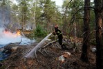 Detenido un nuevo sospechoso por el incendio en bosque cerca de París Detenido un nuevo sospechoso por el incendio en bosque cerca de París