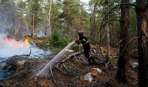Detenido un nuevo sospechoso por el incendio en bosque cerca de París