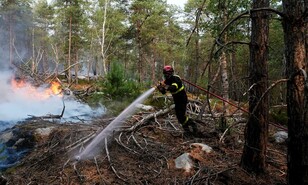 Expertos recomiendan medidas preventivas ante la contaminaci&oacute;n del aire en EE. UU.