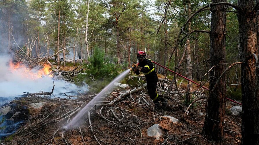 Detenido un nuevo sospechoso por el incendio en bosque cerca de París Detenido un nuevo sospechoso por el incendio en bosque cerca de París