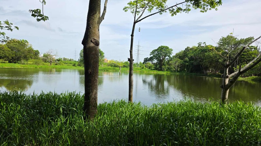 Recuperan la laguna La Redonda tras años de abandono en Santo Domingo Este Recuperan la laguna La Redonda tras años de abandono en Santo Domingo Este