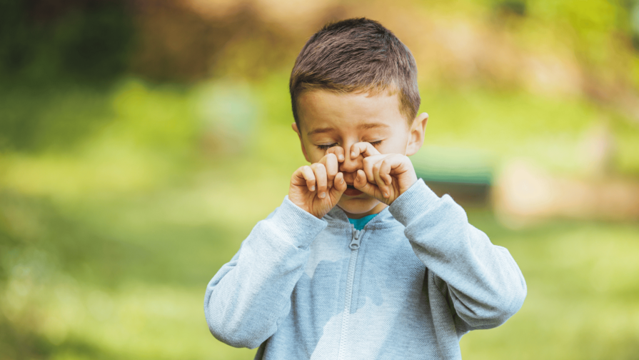 Polvo del Sahara incrementa las alergias oculares en niños, advierte una experta