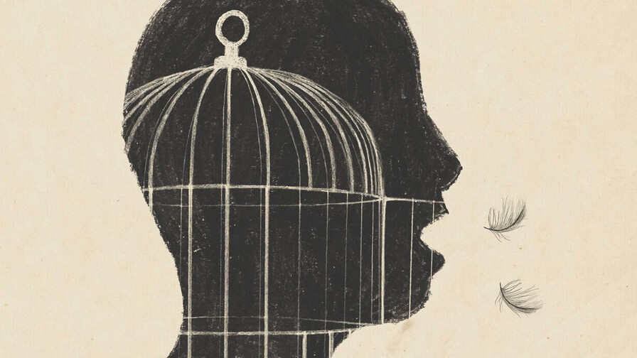 Libertad de expresi&oacute;n s&iacute;, impunidad para difamar no
