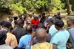 Autoridades haitianas devuelven 13 reses robadas a ganadero dominicano en Dajab&oacute;n