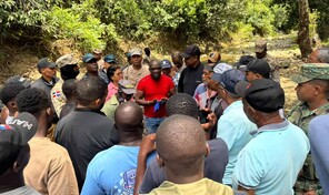 Autoridades haitianas devuelven 13 reses robadas a ganadero dominicano en Dajab&oacute;n