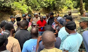 Autoridades haitianas devuelven 13 reses robadas a ganadero dominicano en Dajab&oacute;n