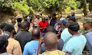 Autoridades haitianas devuelven 13 reses robadas a ganadero dominicano en Dajab&oacute;n