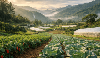 Ocoa, jard&iacute;n de vegetales, no del narcotr&aacute;fico