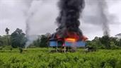 Ascienden a 100,000 las plantas de coca destruidas por Ecuador en la frontera con Colombia