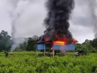 Ecuador erradica cultivos de coca en frontera con Colombia