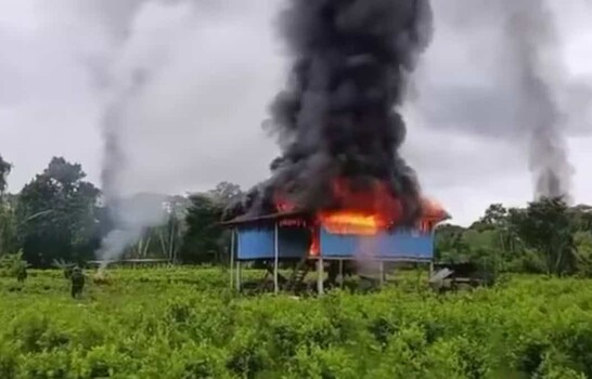 Ascienden a 100,000 las plantas de coca destruidas por Ecuador en la frontera con Colombia