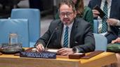 La ONU destaca avances electorales en Hait&iacute;, pero alerta del poder creciente de las bandas